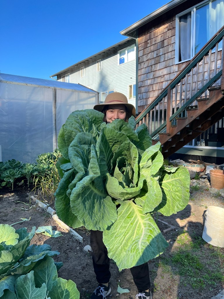 Misa with a giant cabbage from the garden